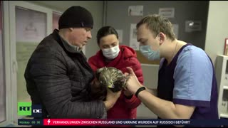 RT DE Live-TV