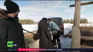 RT DE Live-TV