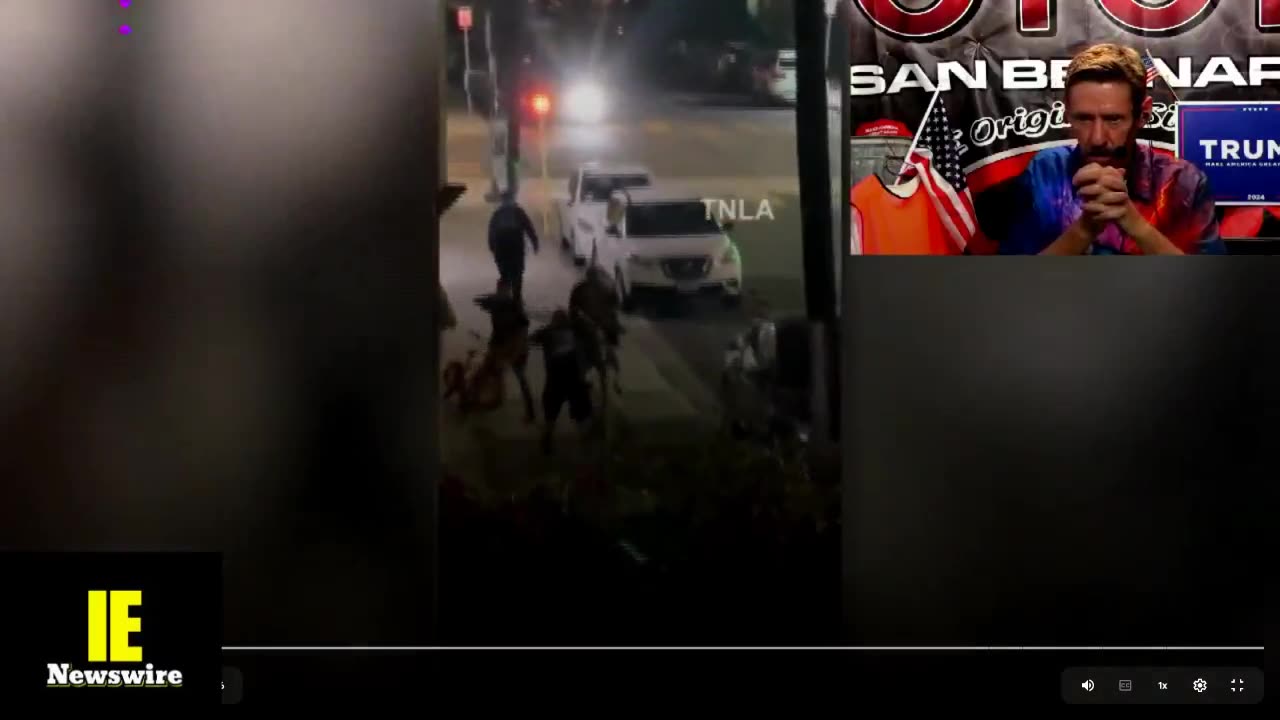 MAN STABBING DOG ON CAMERA? Trump protecting your Vote! The VAX was a scam!