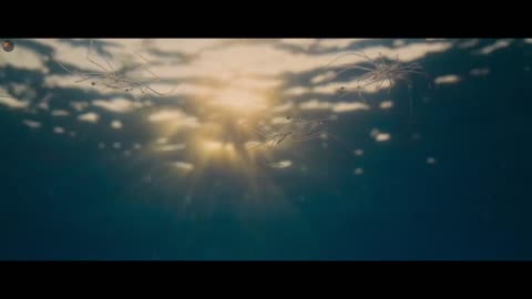 David Attenborough: Świat oceanów (2025) film dokumentalny LEKTOR PL