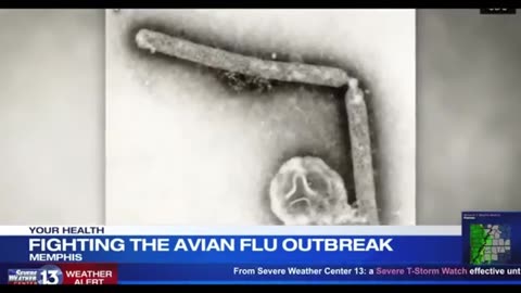 Here We Go Again With This Pandemic Bull$h!t..