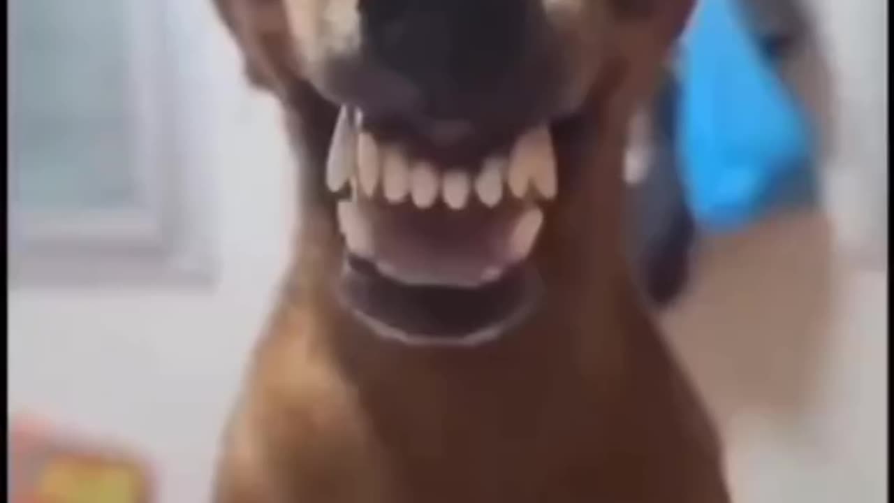 Doggy style