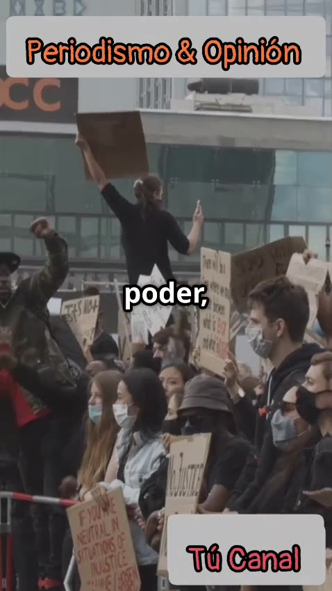 Lo que debemos aprender de las aves