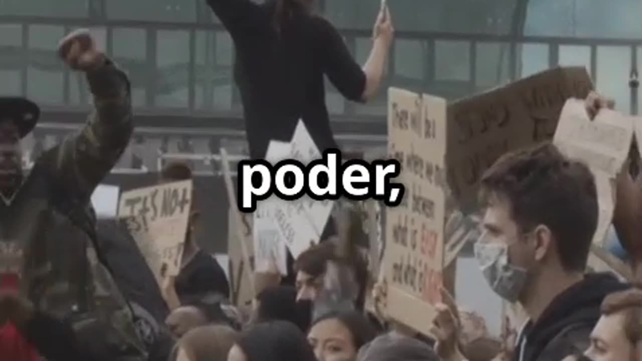 Lo que debemos aprender de las aves
