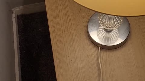 😱👻 What the Heck Just Happened in This Video?! | TheHauntingHour