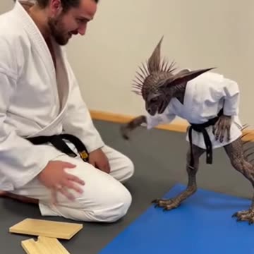 This Karate Student Is Not From This Timeline #Sora #Ai #ViralVideo