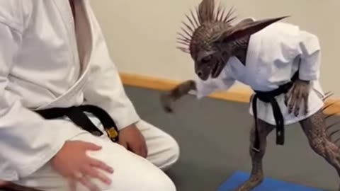 This Karate Student Is Not From This Timeline #Sora #Ai #ViralVideo