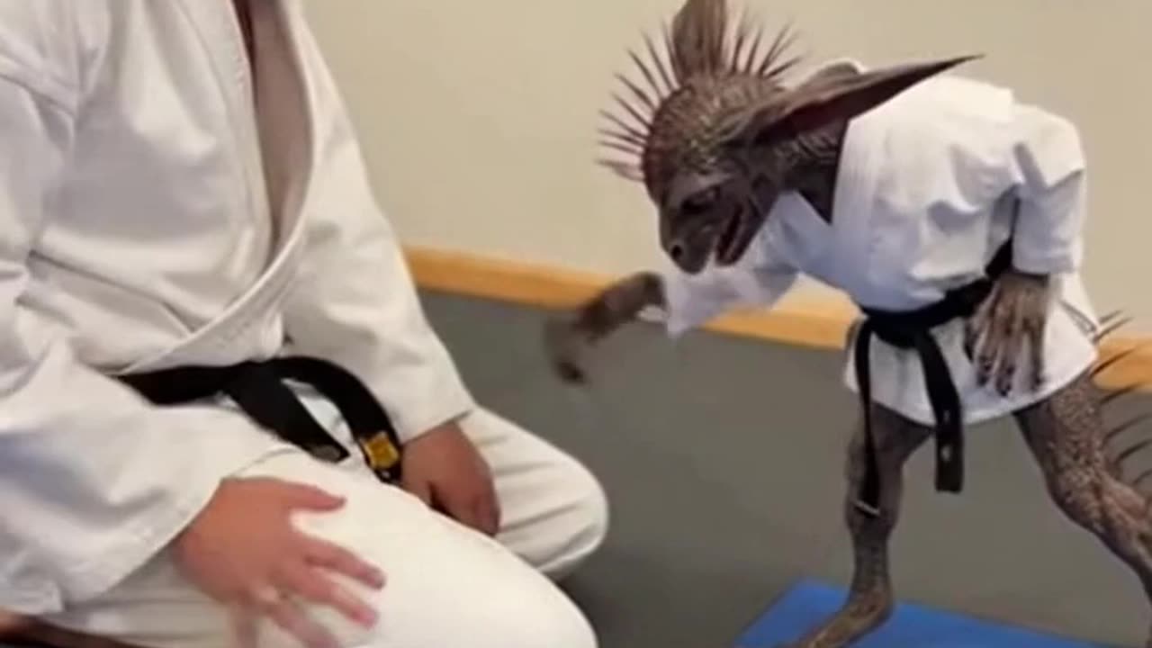 This Karate Student Is Not From This Timeline #Sora #Ai #ViralVideo