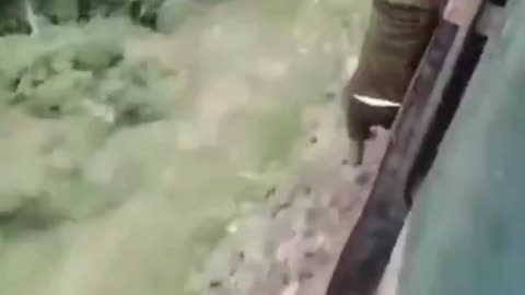 GRAPHIC: He Gone