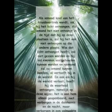 Als iemand kind van het bruidsvertrek wordt