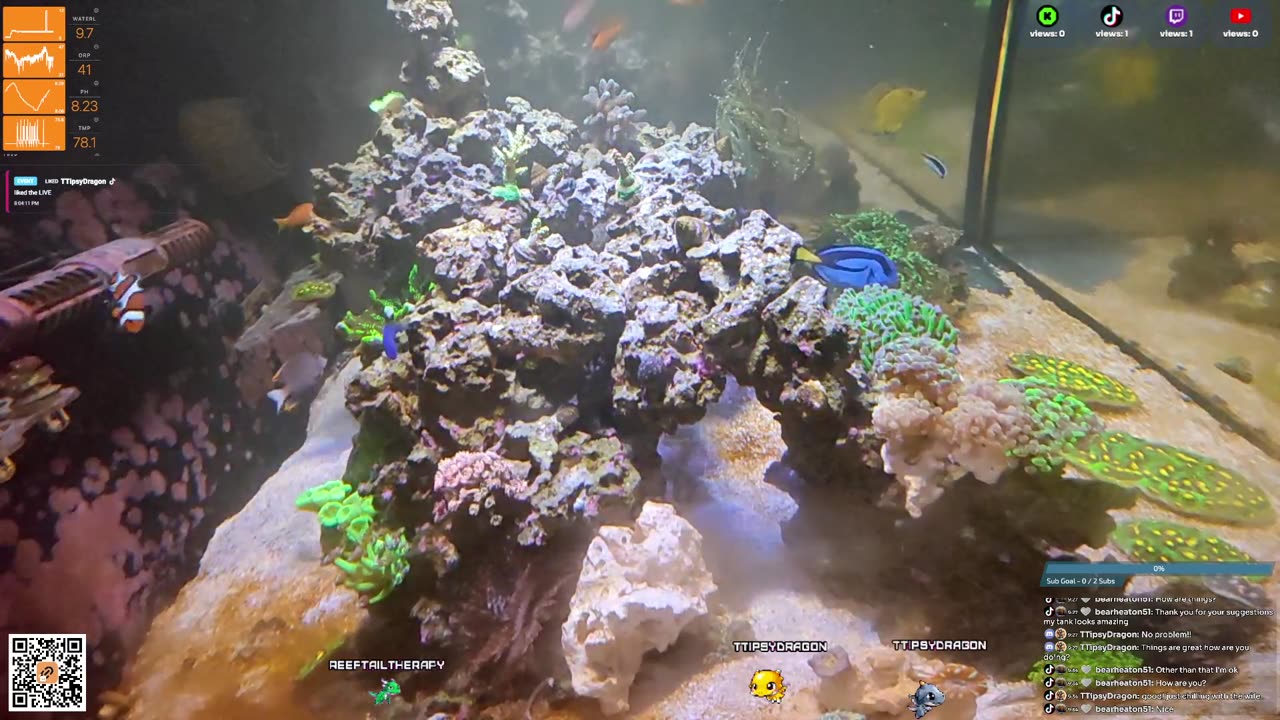 24/7 Real Live Reef Stream
