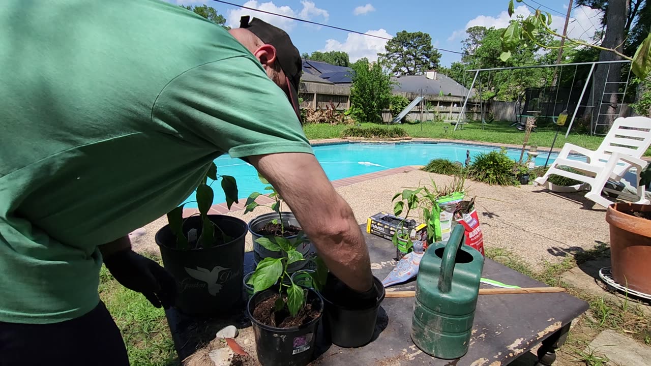 No dirt, no weather issues - How to propagate Gender Awareness of Bees.