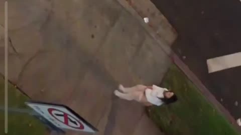 Drone on fig