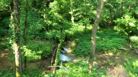 We Love SERENITY!