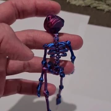 Mr. Bones the Flexi Skeleton King