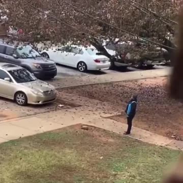 Doctors or engineers?