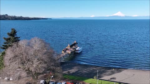 Deeply Inspiring Japanese Cherry Blossom Tree May 2023