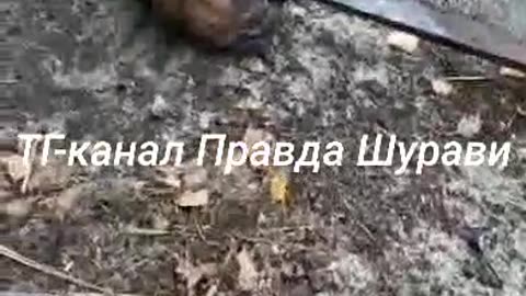 Ukraine war combat footage 7/26/25