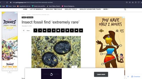 Fossil Bugs