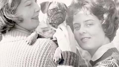 Did You Know The Incredibly Wealthy Guinness And Kennedy Families See