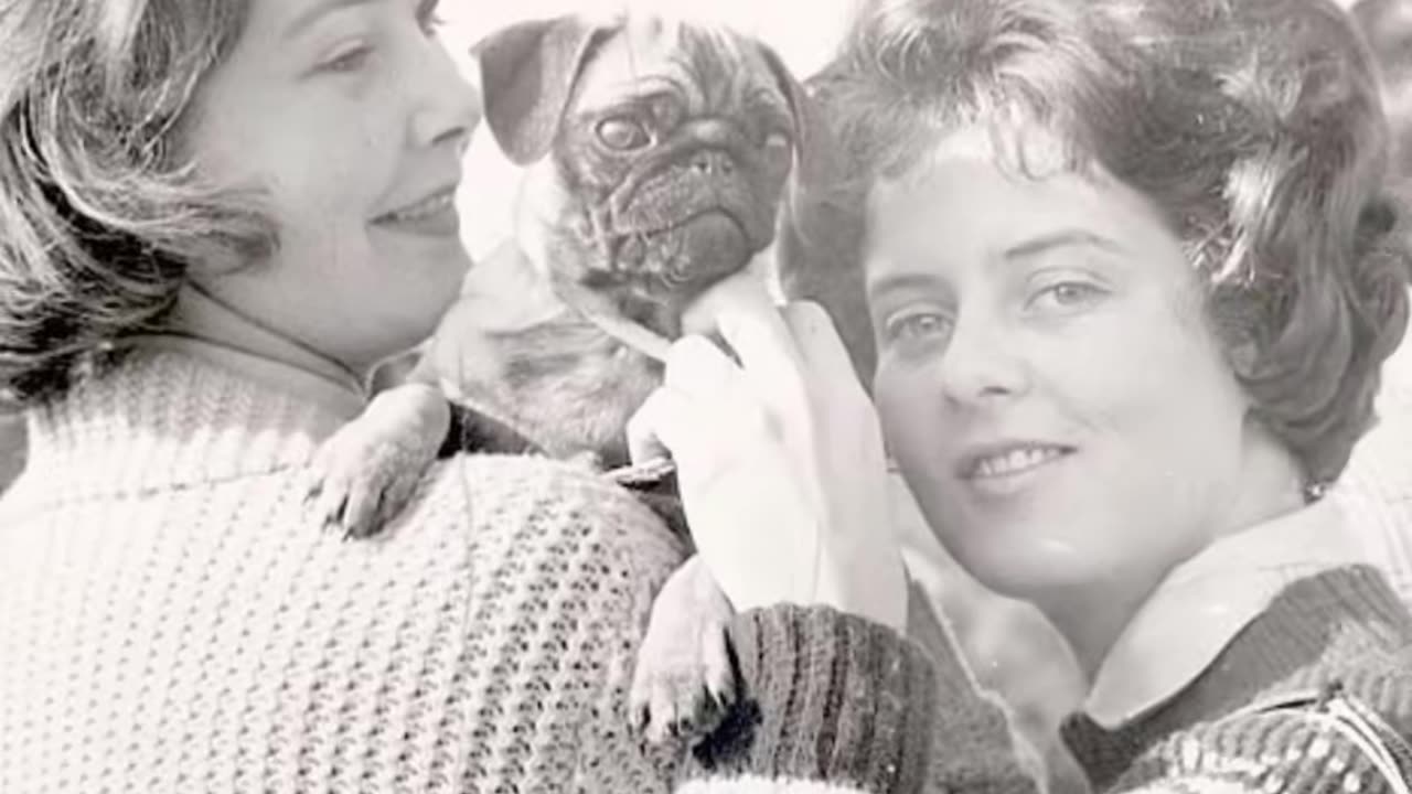 Did You Know The Incredibly Wealthy Guinness And Kennedy Families See