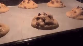 Viral: Baking in Reverse