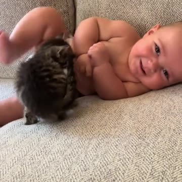 “Why Do Kittens Love Clinging to Babies? 🐱👶❤️”