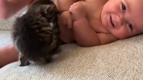 “Why Do Kittens Love Clinging to Babies? 🐱👶❤️”