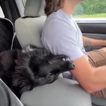 Just a custom passenger.. 😂