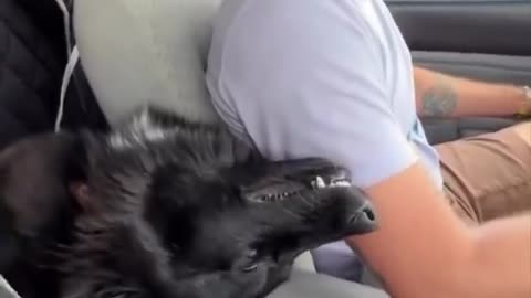 Just a custom passenger.. 😂