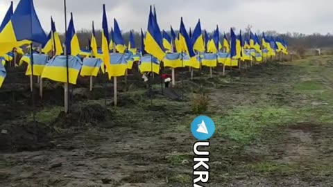 Ukraine war related/combat footage 11/24/25