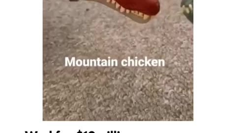 Have u heard of mountain chicken