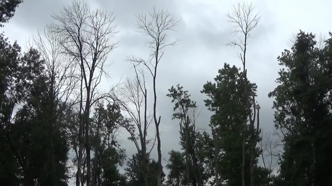 Enjoy a cloudy summer day (Volume increased)