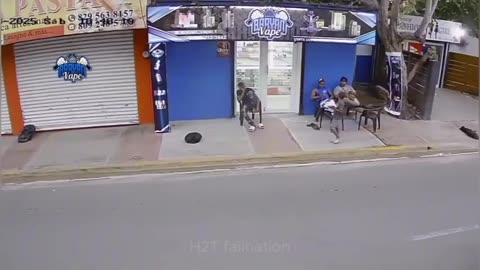 Top 100 Funniest Videos of All Time