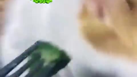 Hilarious video you are suppose to watch