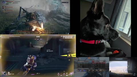Late Nights With Shogun