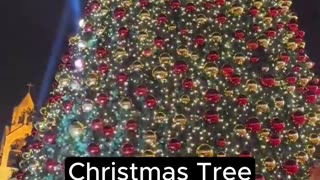 This Christmas miracle proves the peace deal is working ☮️ 🎄