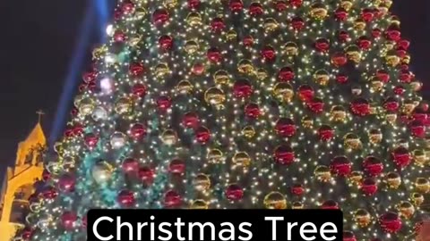 This Christmas miracle proves the peace deal is working ☮️ 🎄