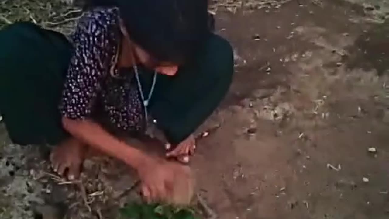 My famliy funny video