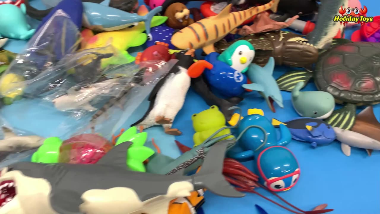 Sharks Bathe in Three Pools of Water Stacked on Top of Each Other