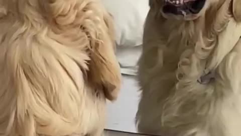 Practicing Angry Face