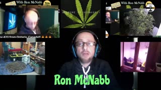 Grow 420 today