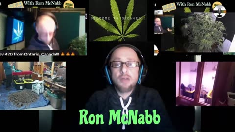 Grow 420 today