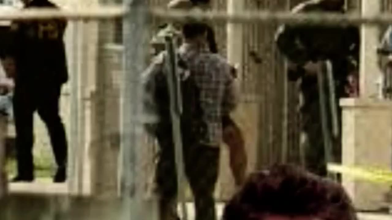 STUPID IDEAS - VOL. 437: SHOOTING AT ICE AGENTS