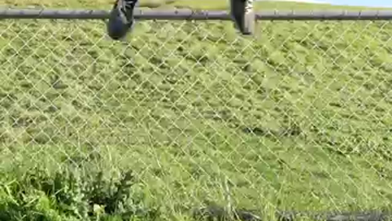 How different animals get over a fence (with emojis)