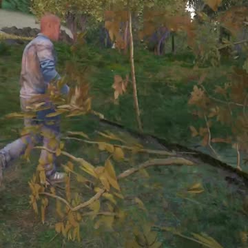 Would You Help Your DayZ Friend