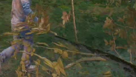 Would You Help Your DayZ Friend