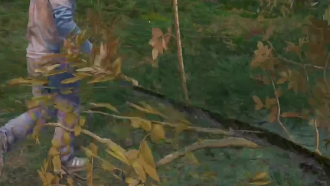 Would You Help Your DayZ Friend