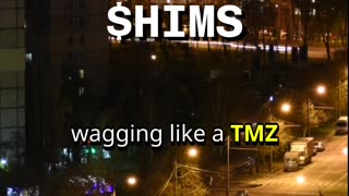 HIMS Sizzles with Pharma Deals and Record Earnings $HIMS #stonks #investing #genbet