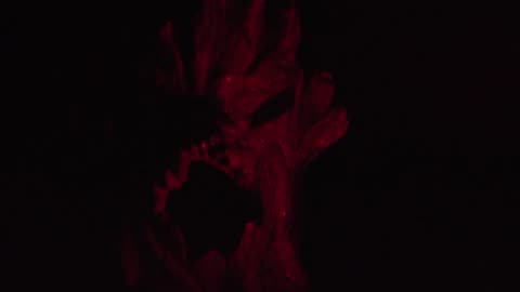 Scary Stories Not To Tell In The Dark 6